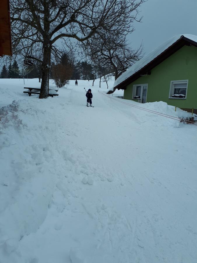 Tourist Farm Znidarjevi Villa Kozljek Екстериор снимка